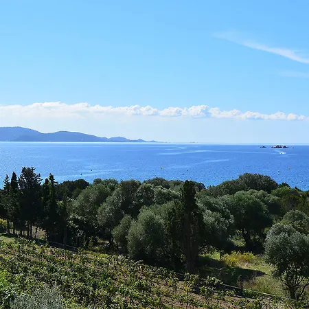 公寓式酒店 Les Terrasses Du Grand Large 波尔图波罗