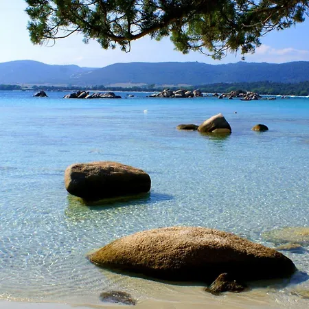 Les Terrasses Du Grand Large 波尔图波罗