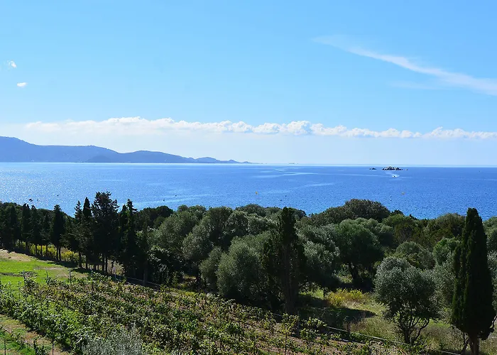 Hotel apartamentowy Les Terrasses Du Grand Large Porto Pollo