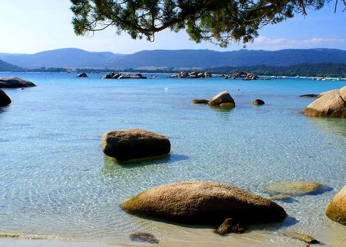 Les Terrasses Du Grand Large Porto Pollo